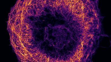Confocal Microscopy: Getting the Most from Working Systems
